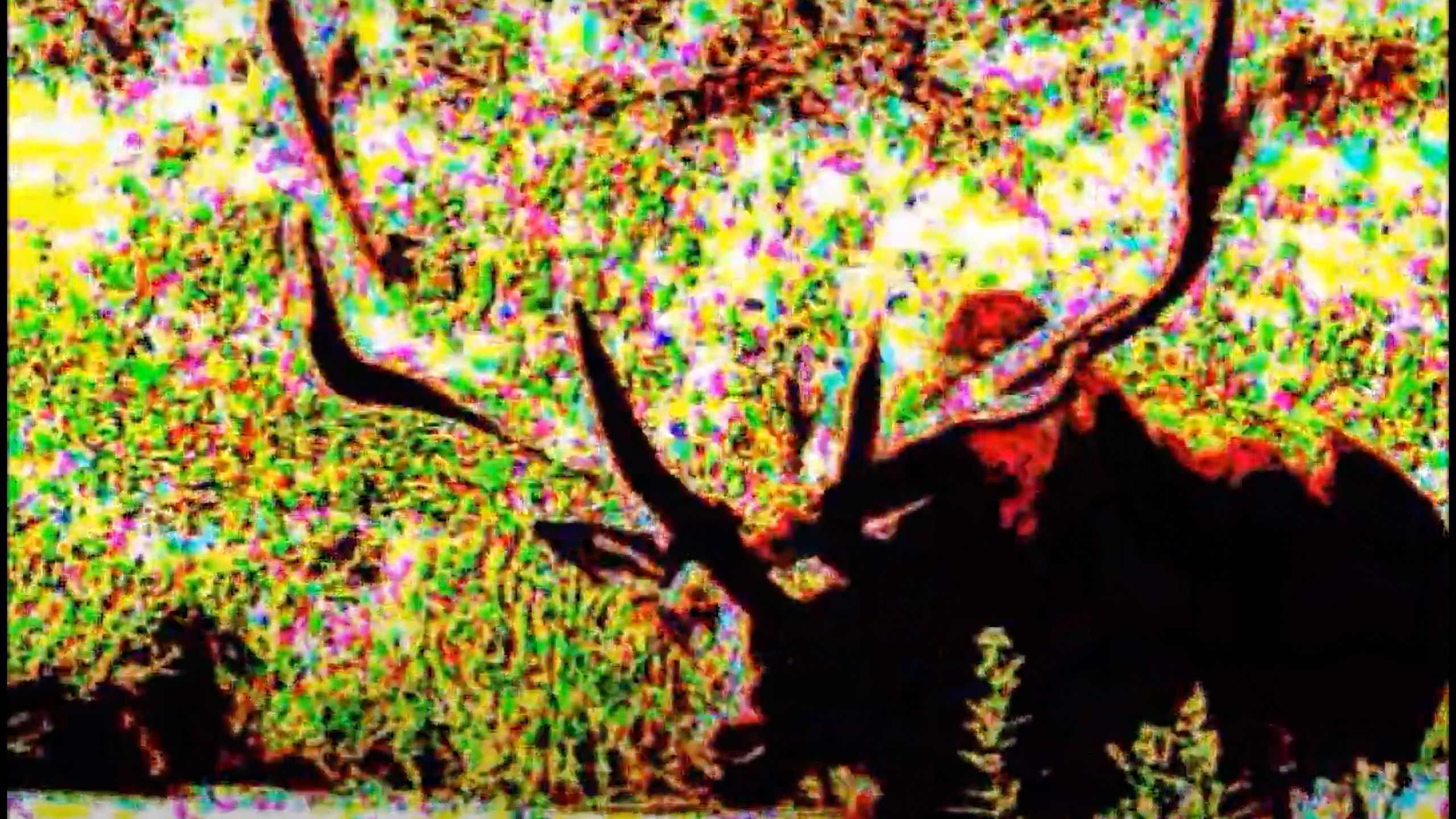 Backdrop for Thoughts from the Womb