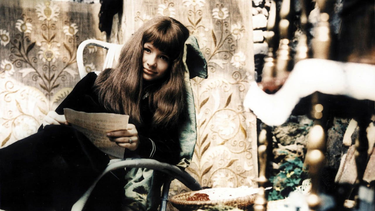 Backdrop for We, the Lost Girls