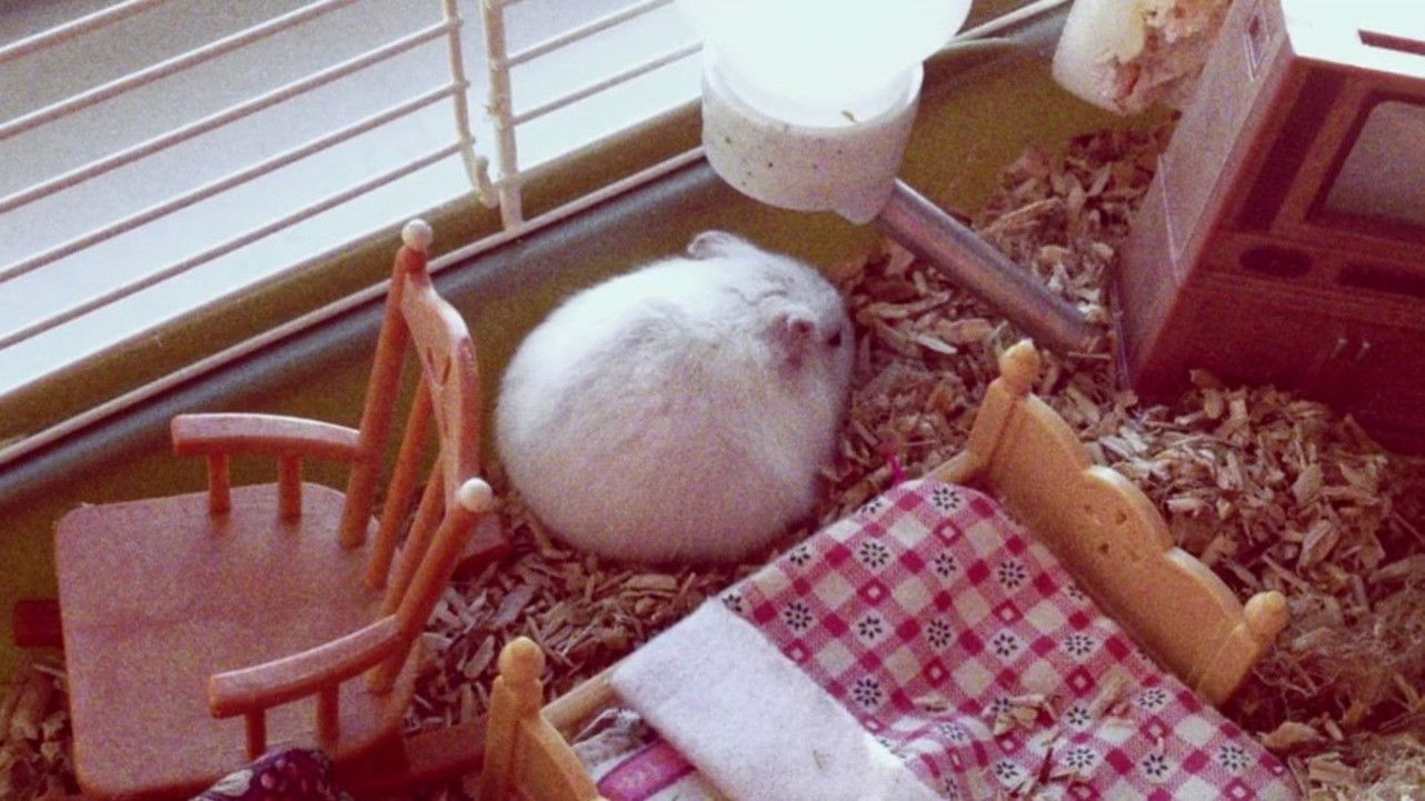 Backdrop for Nymphomaniac: Vol. I