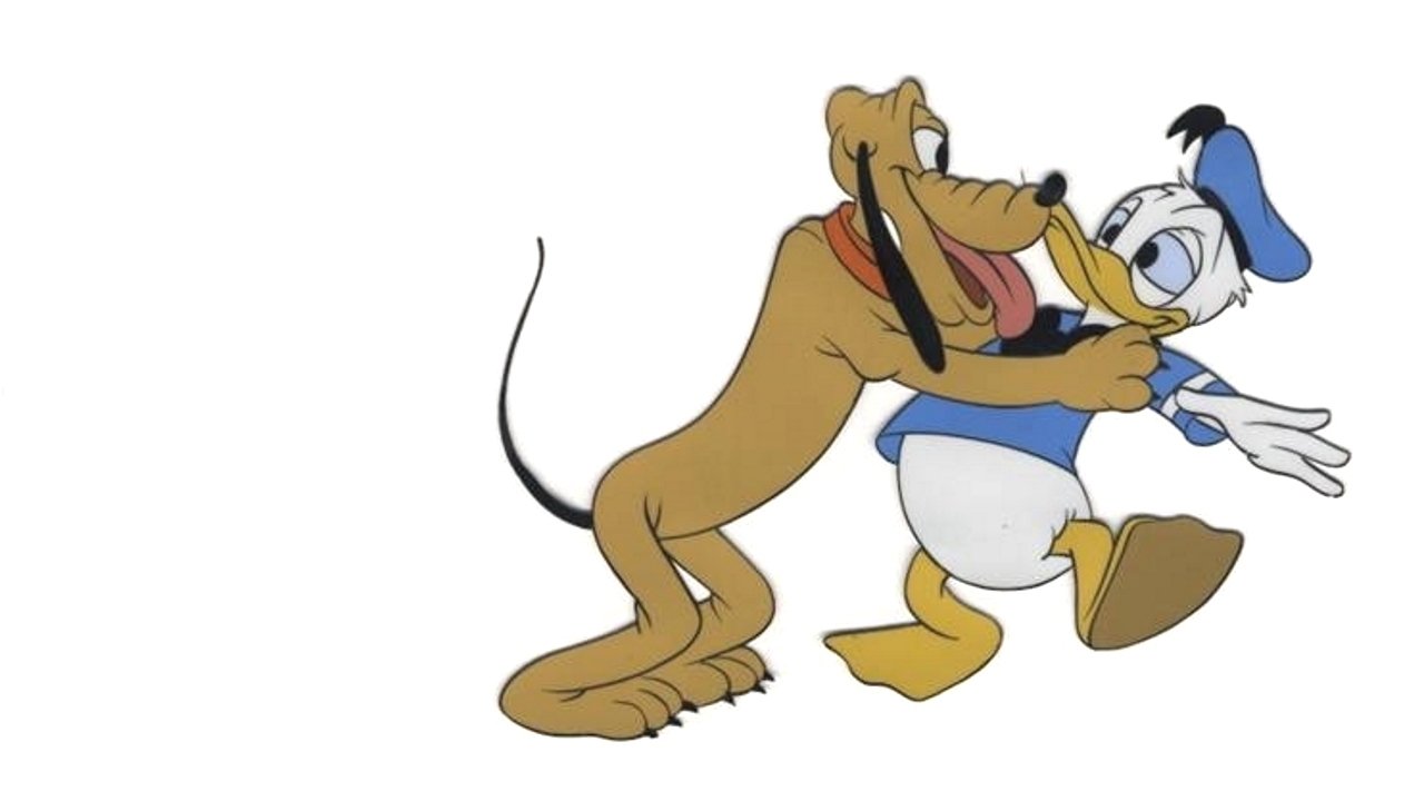 Backdrop for This Is Your Life Donald Duck