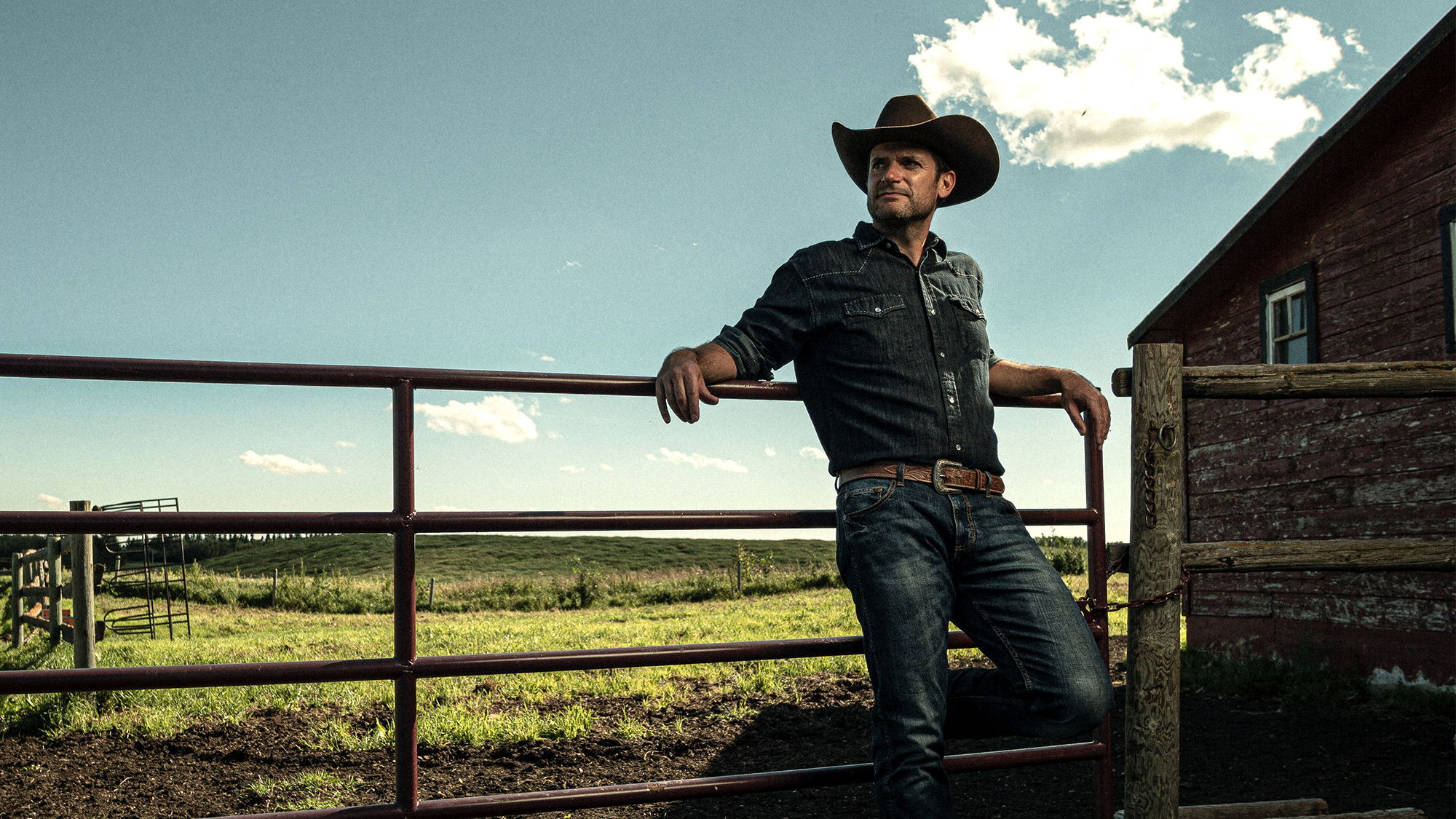 Backdrop for Cow-boy urbain