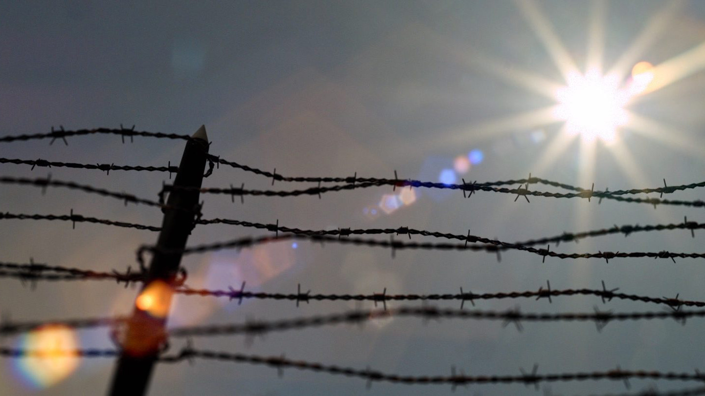 Backdrop for In Syrm