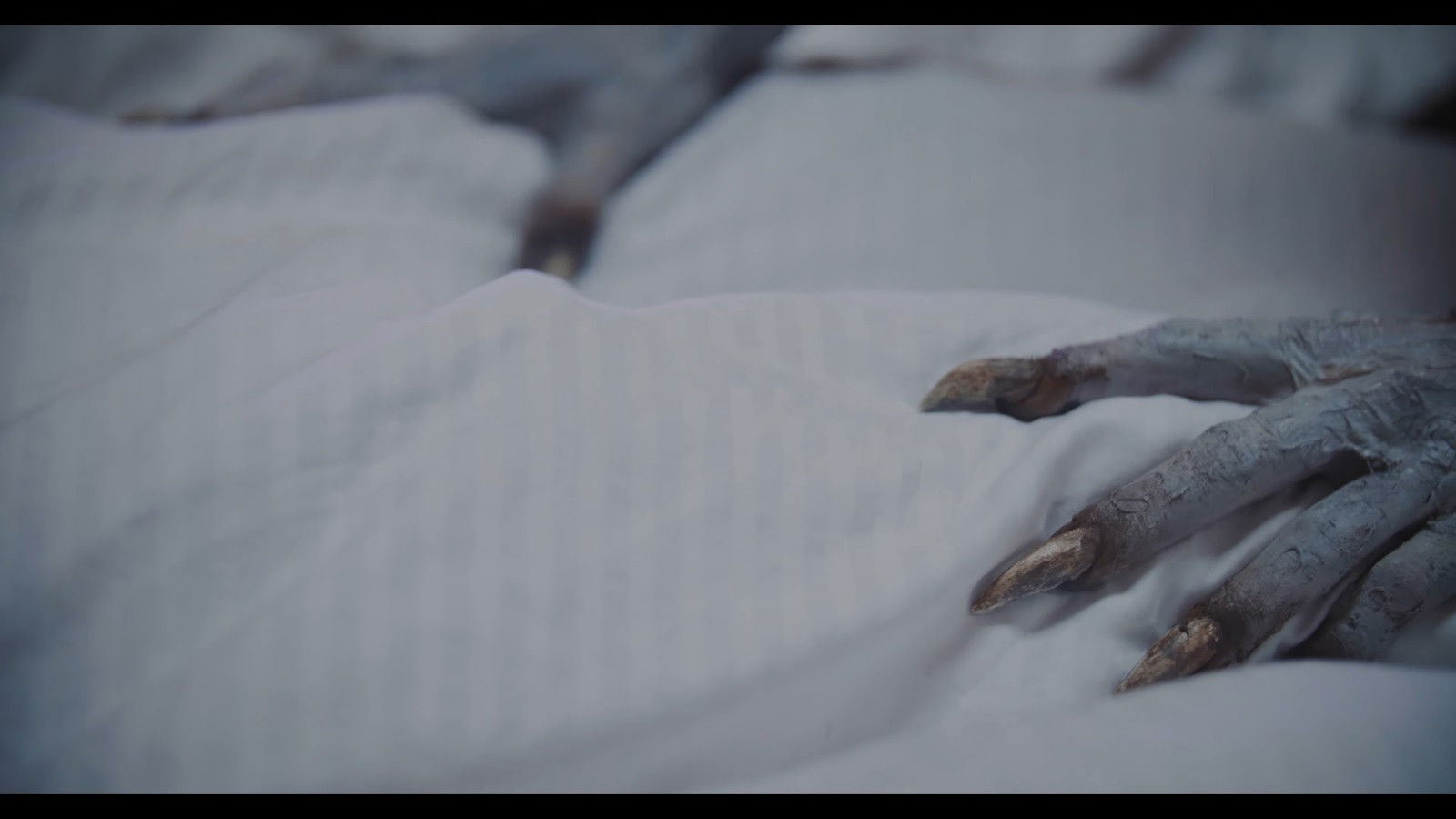 Backdrop for Honeymoon