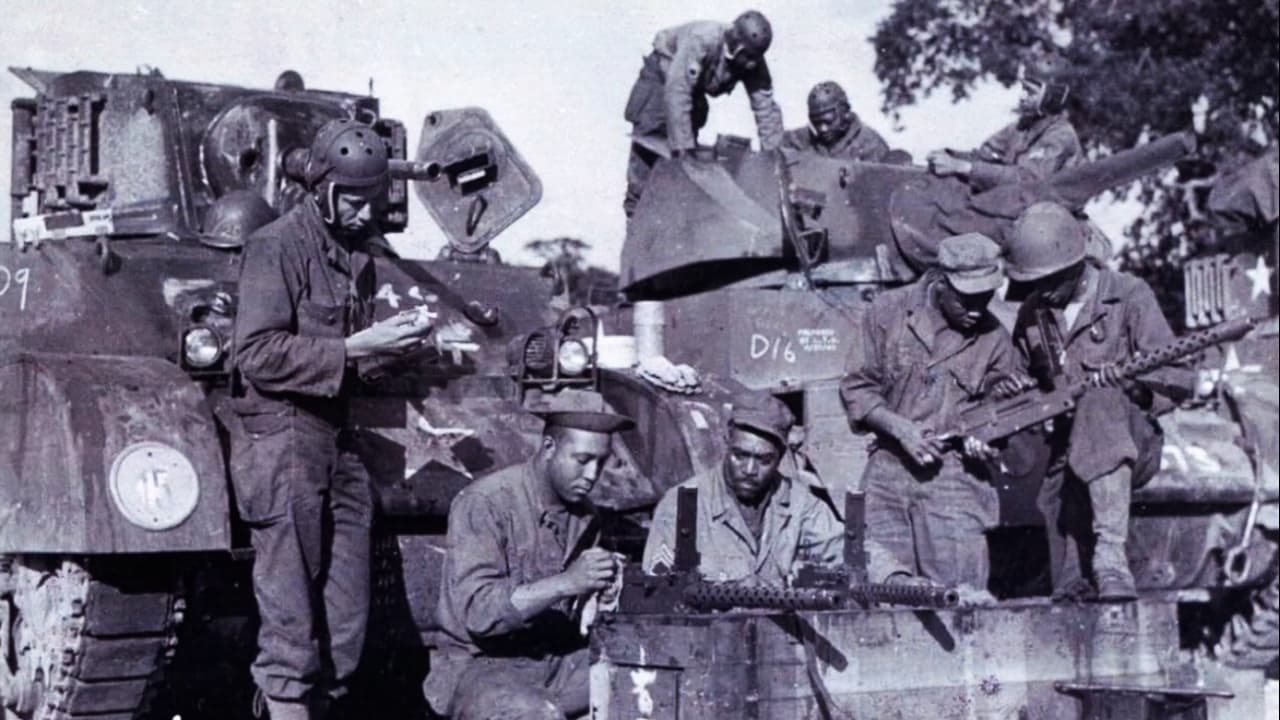 Backdrop for 761st Tank Battalion: The Original Black Panthers