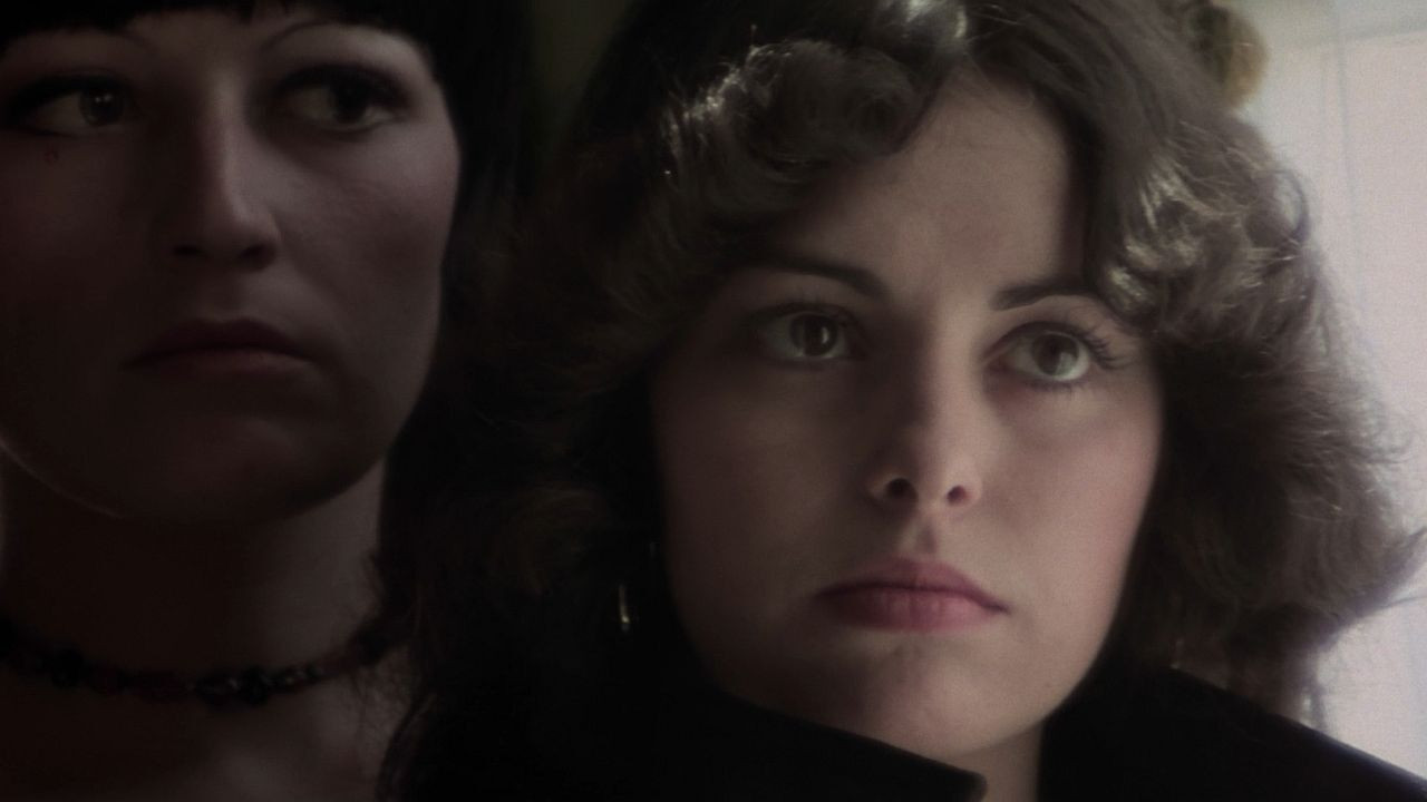 Backdrop for Shining Sex