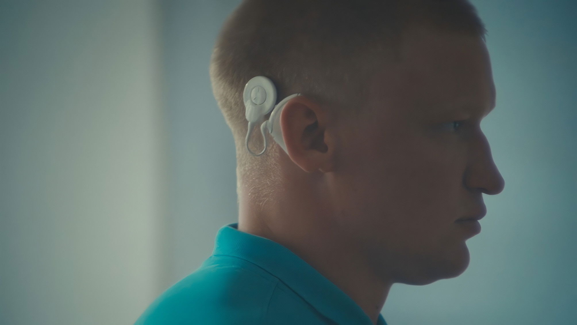 Backdrop for Hedgehog's Dilemma