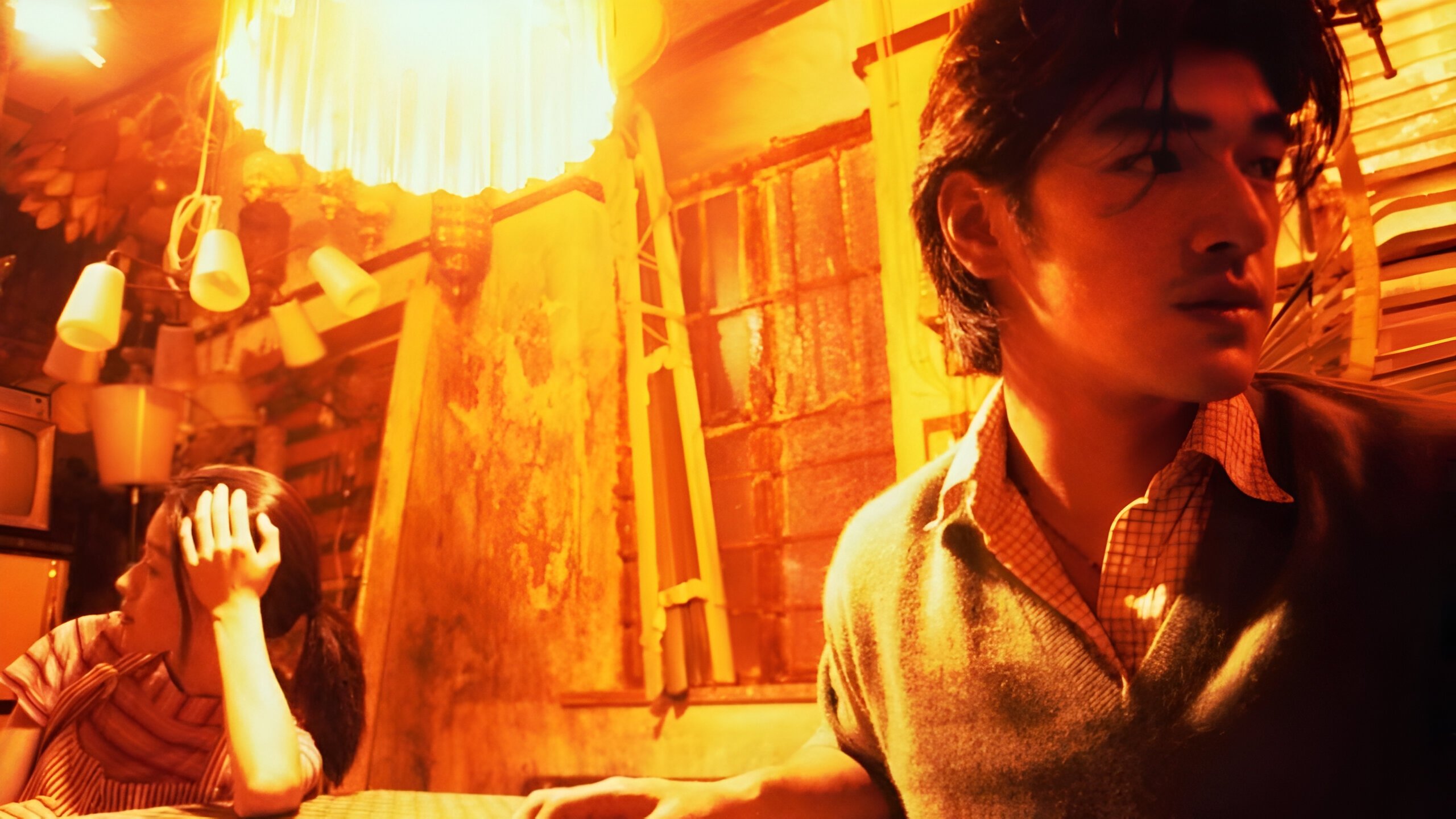 Backdrop for First Love: The Litter on the Breeze