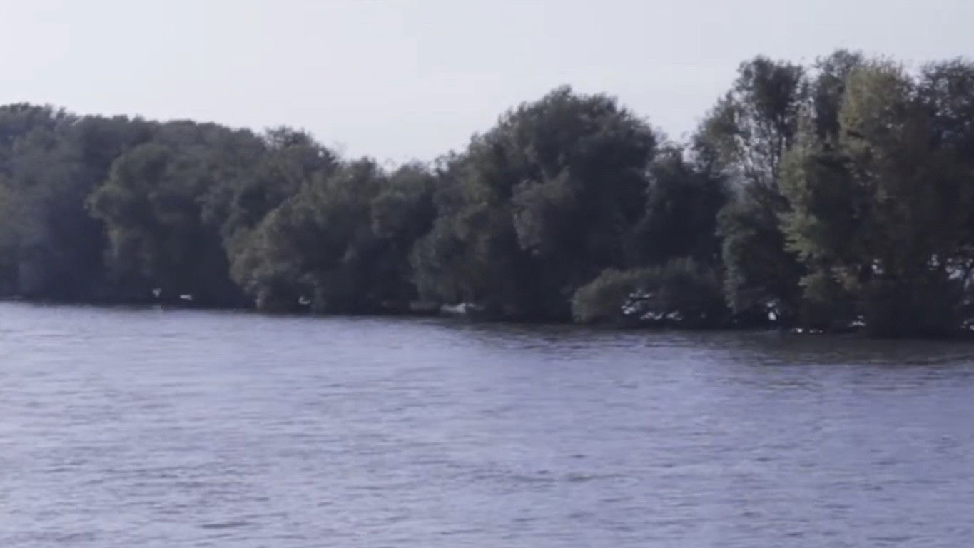 Backdrop for Flow & Rive