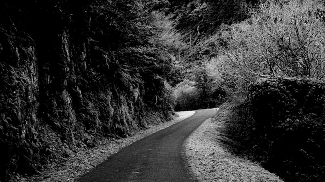 Backdrop for Praise of the Distance