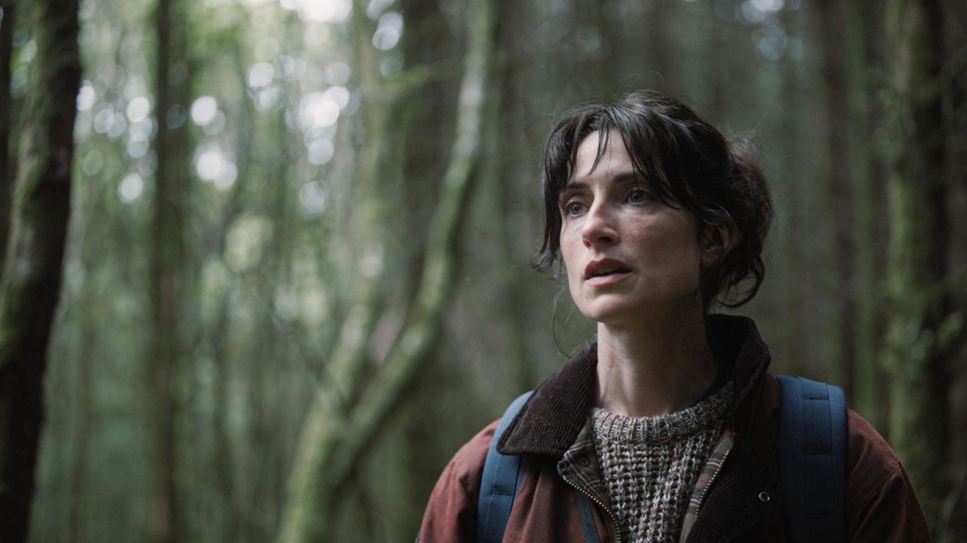 Backdrop for Whitetail