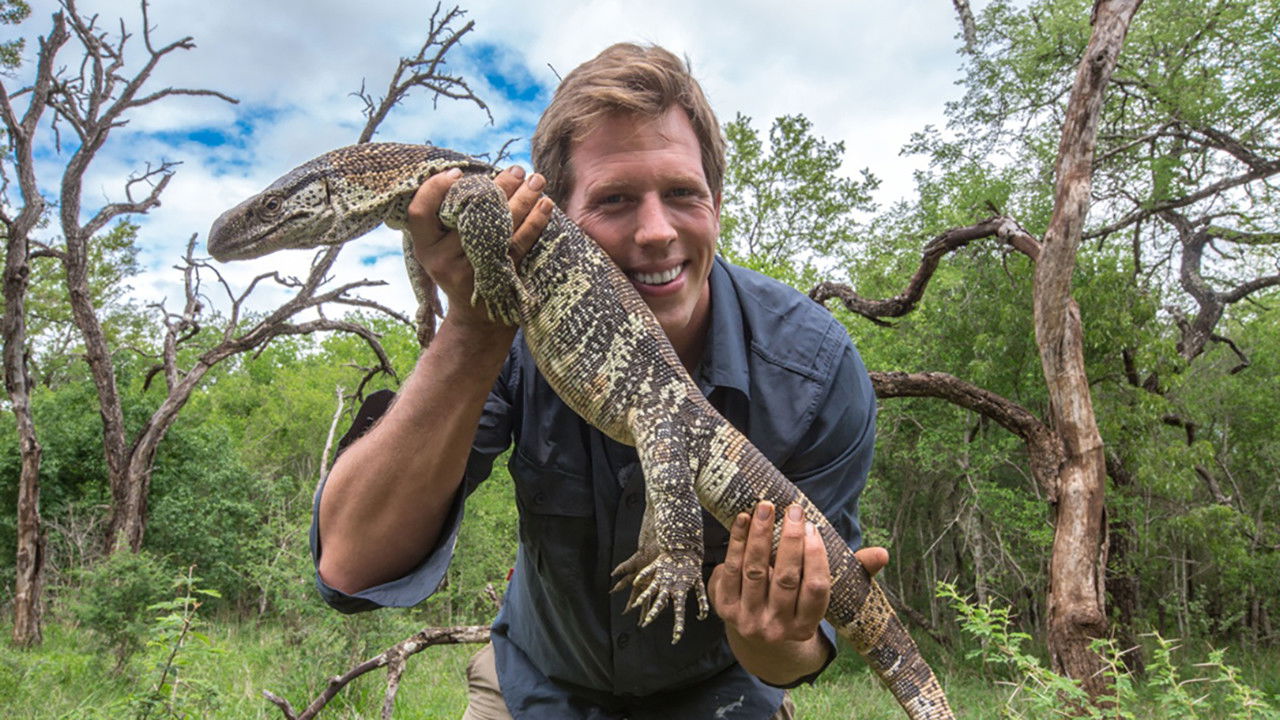 Backdrop for Freek In Het Wild