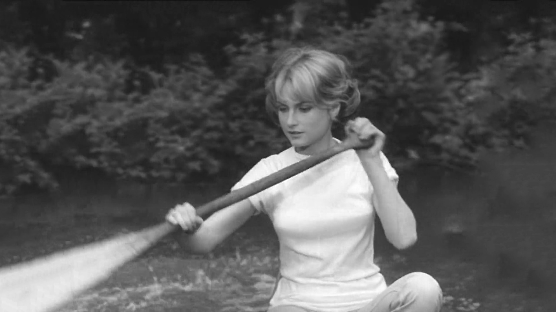 Backdrop for A Bullet in the Gun Barrel