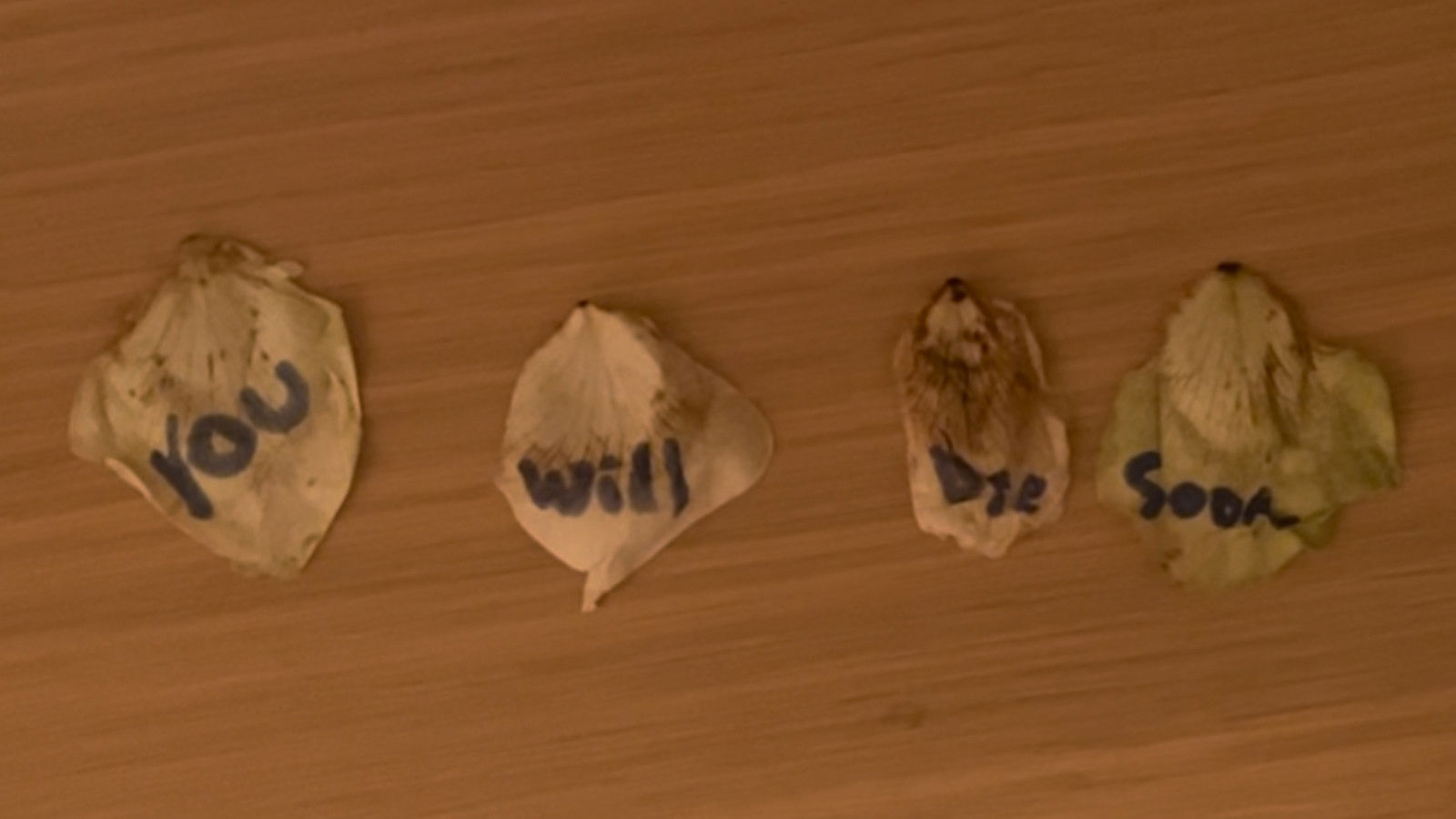 Backdrop for Cod Liver Oil and Milk