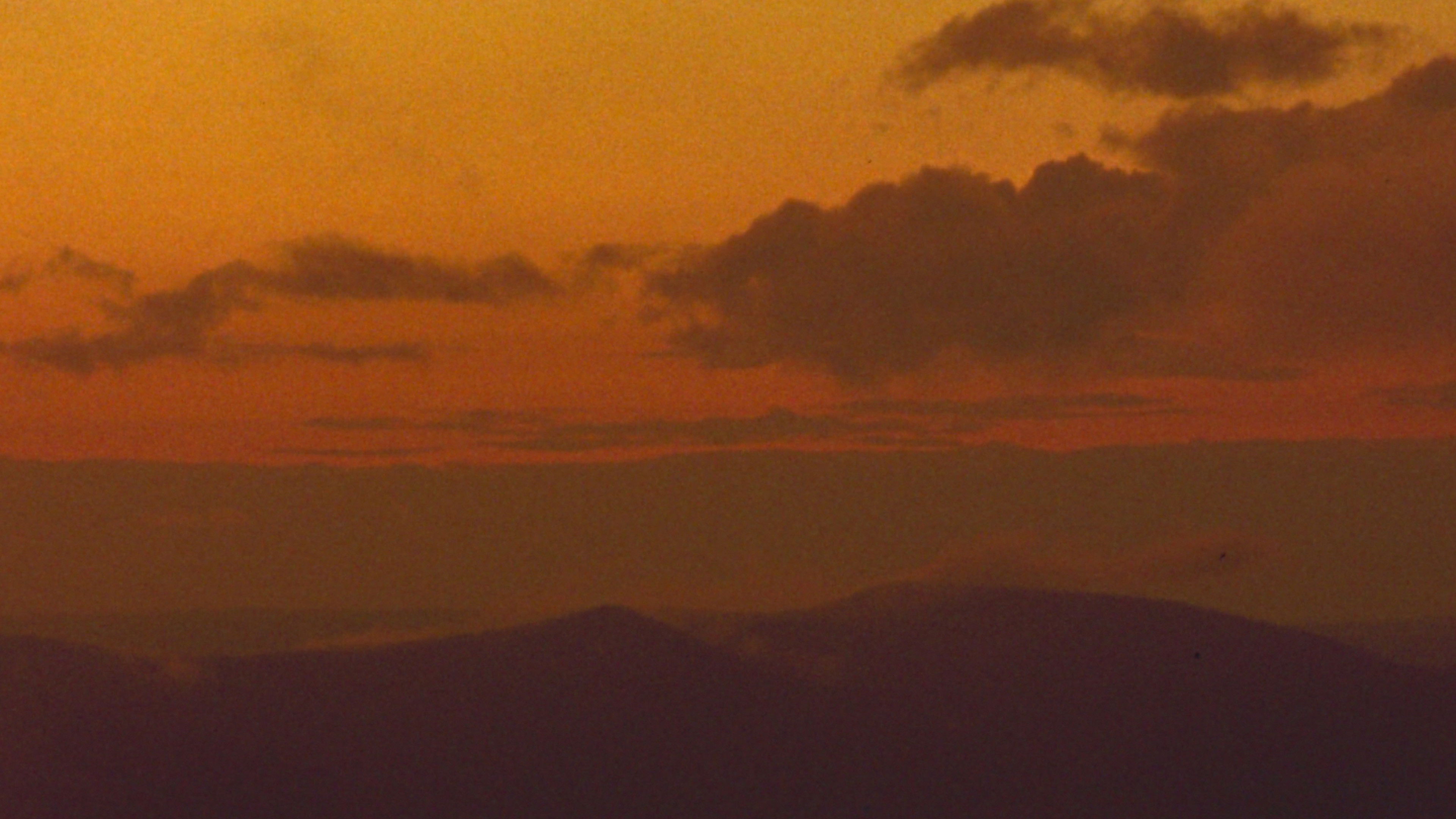 Backdrop for Starlight