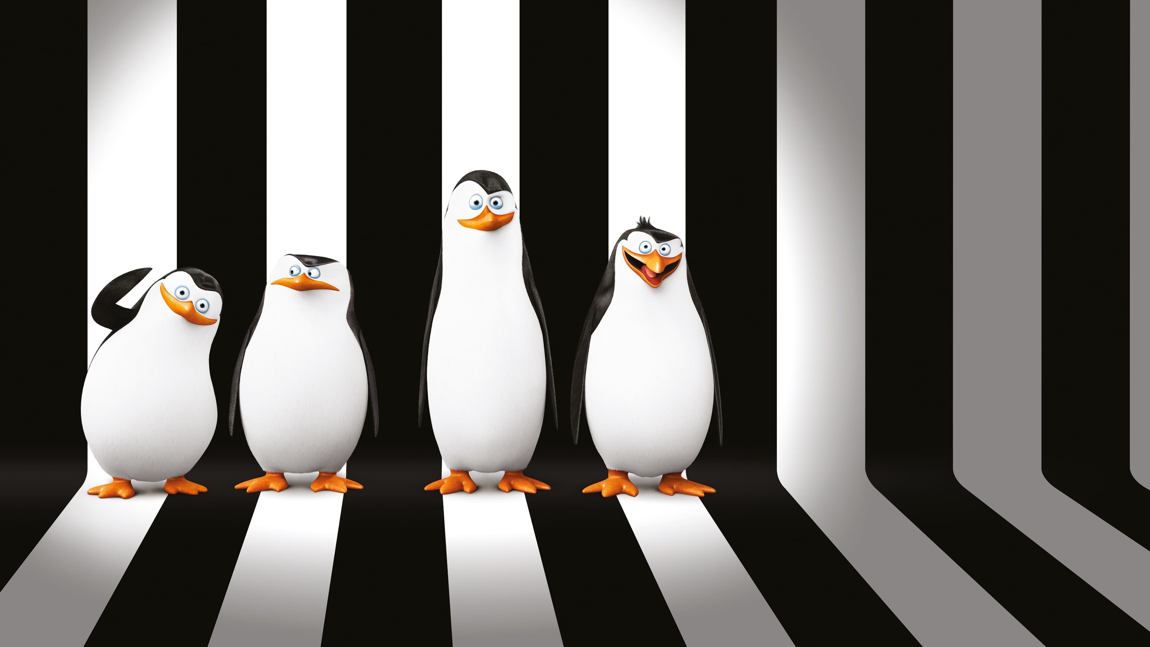 Backdrop for Penguins of Madagascar