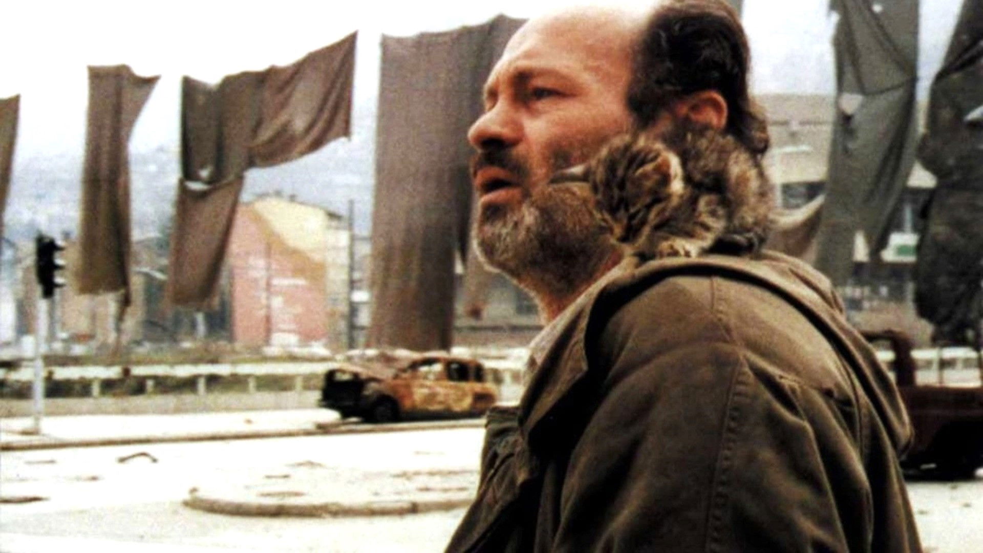 Backdrop for The Perfect Circle