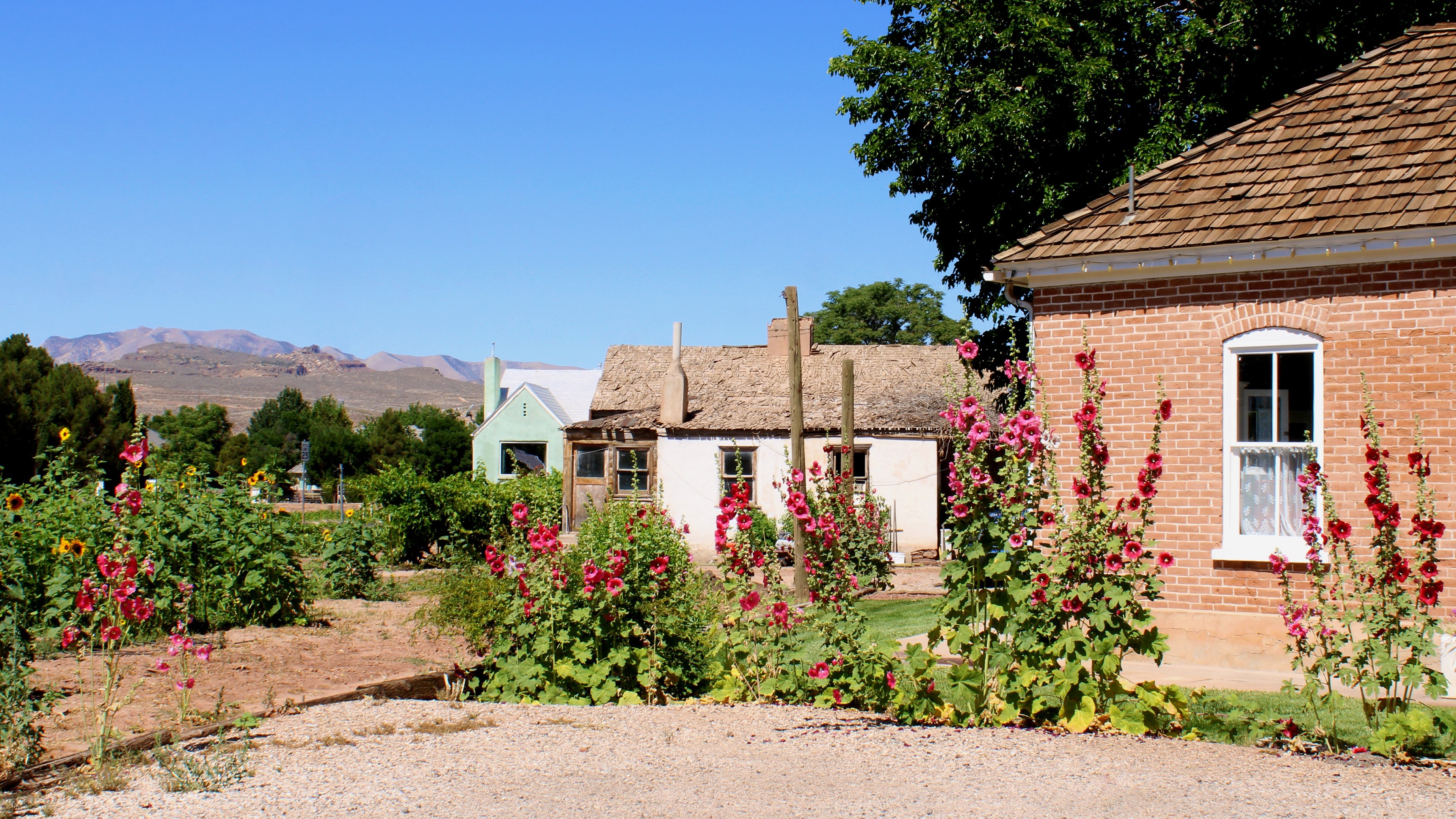 Backdrop for In With the Old