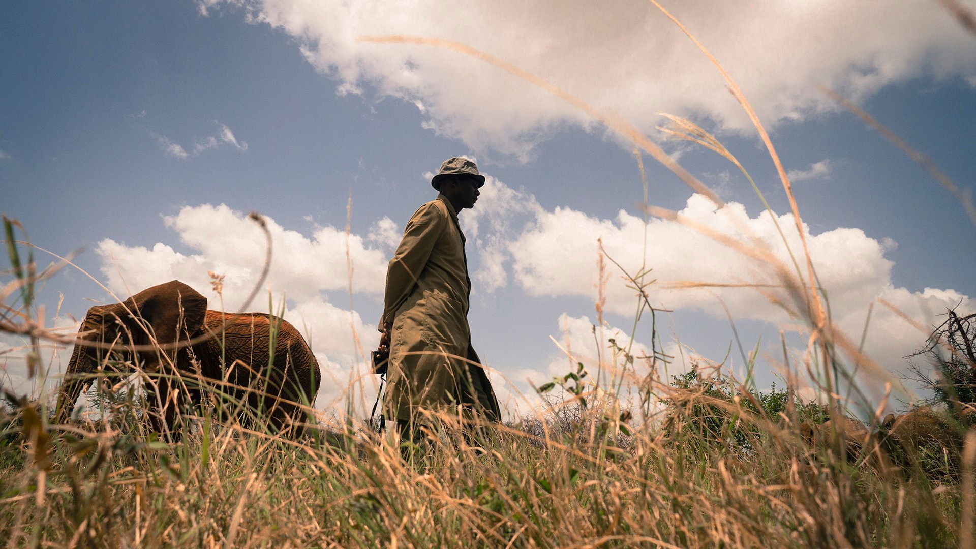 Backdrop for Gardeners of Eden