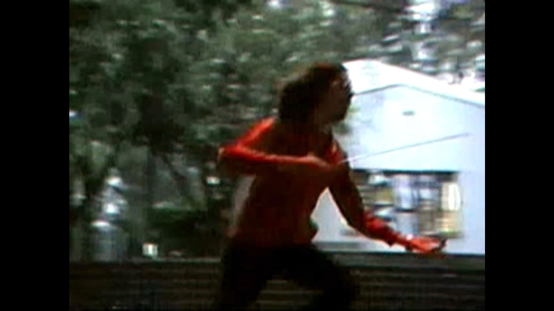 Backdrop for El Quinino Sagrado