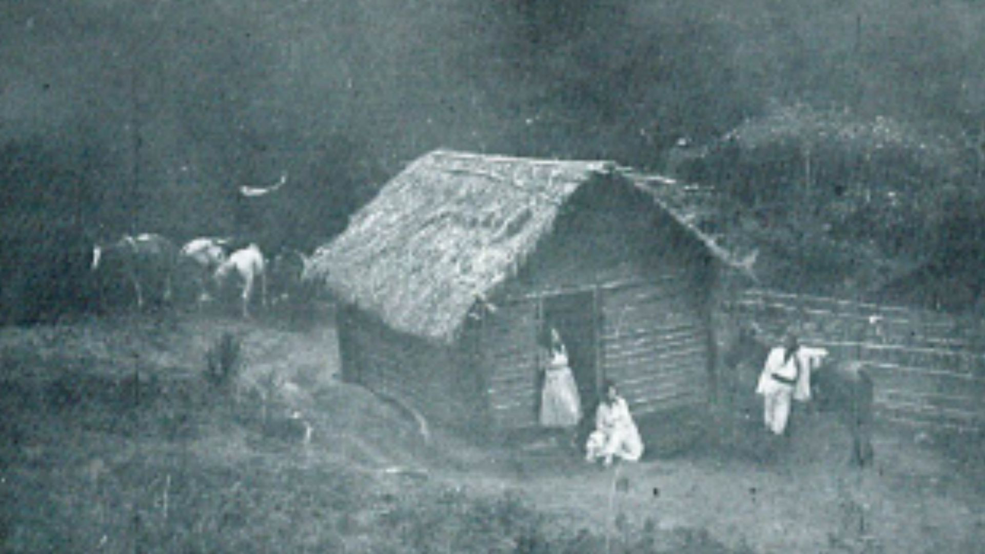 Backdrop for A Derrocada