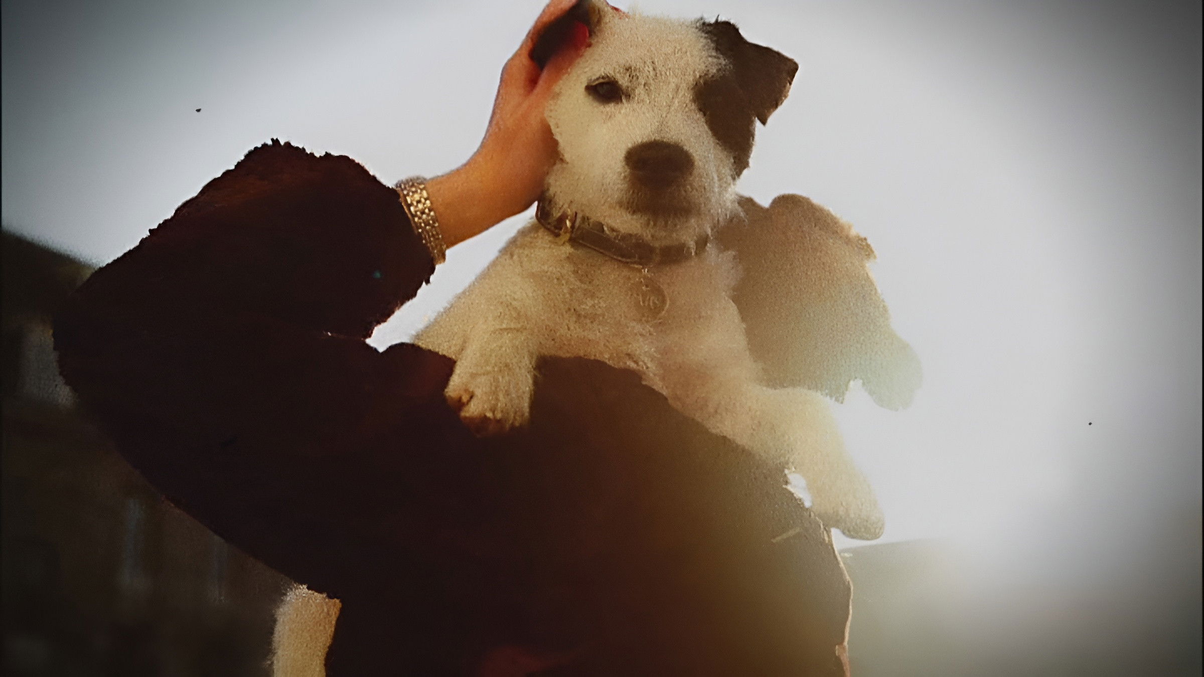 Backdrop for Double Cross: The True Story of the D-day Spies