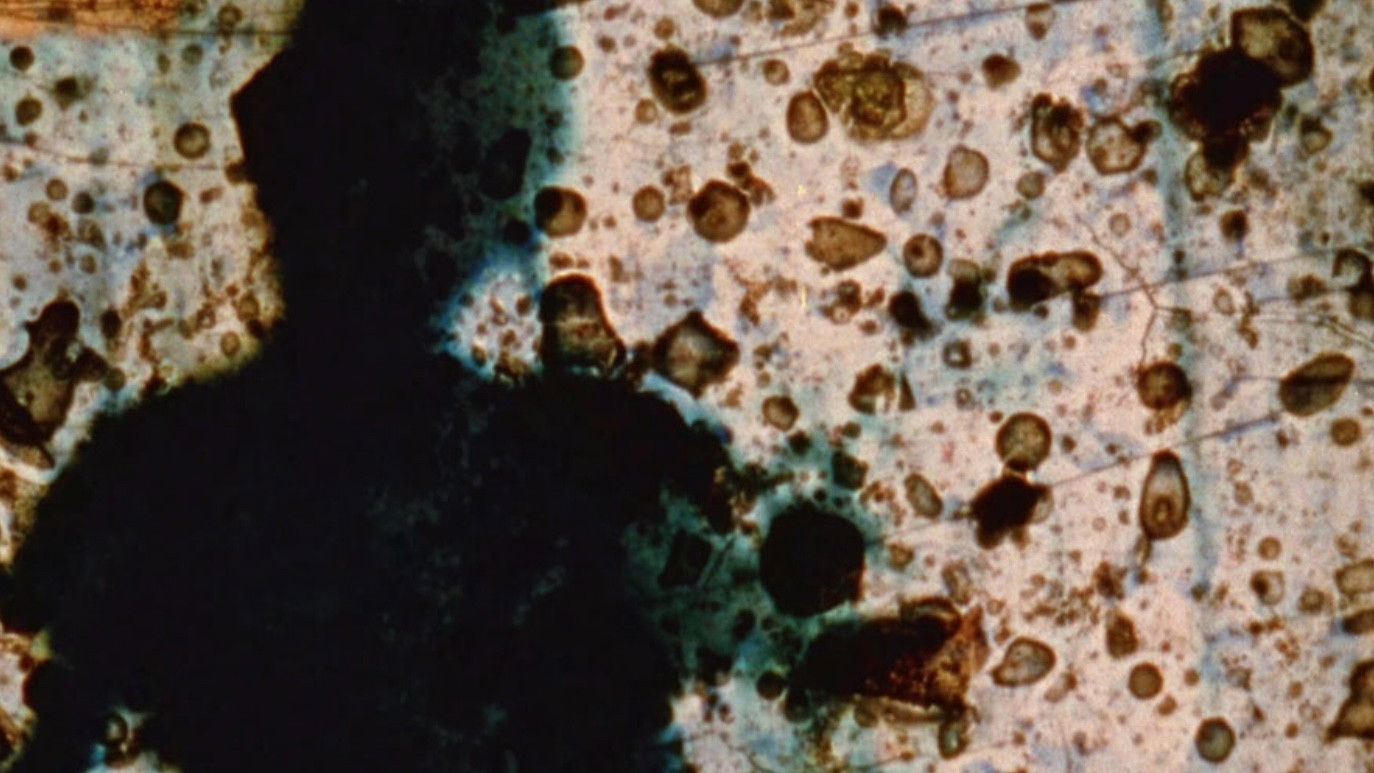 Backdrop for 23rd Psalm Branch