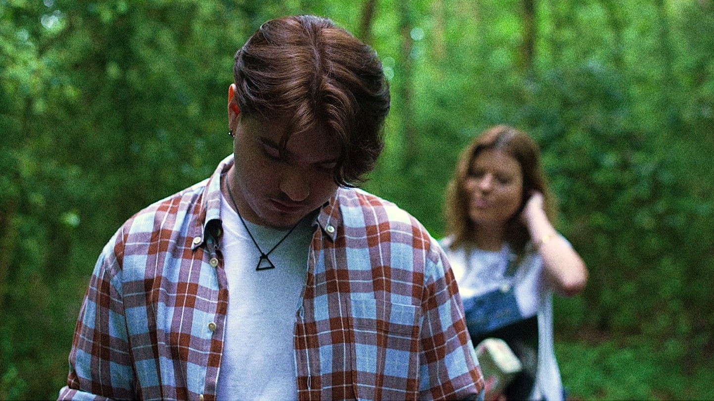 Backdrop for Woodspring