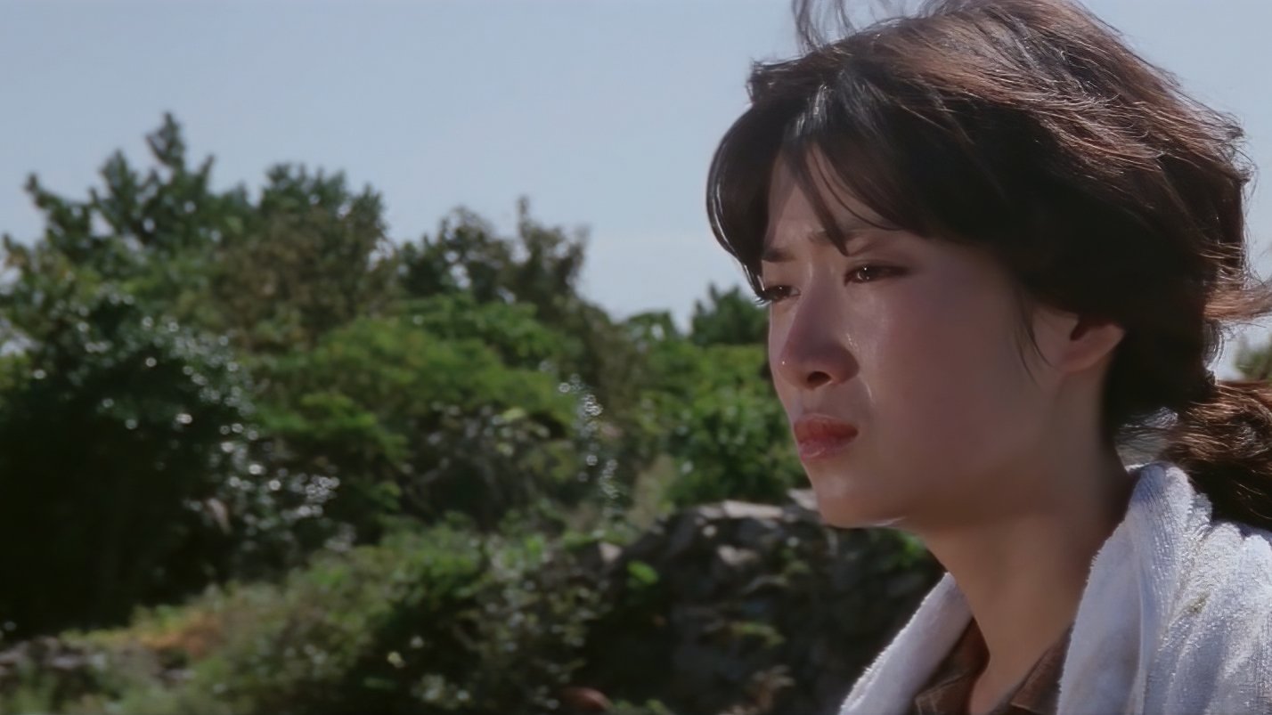 Backdrop for A White Feathered Gull