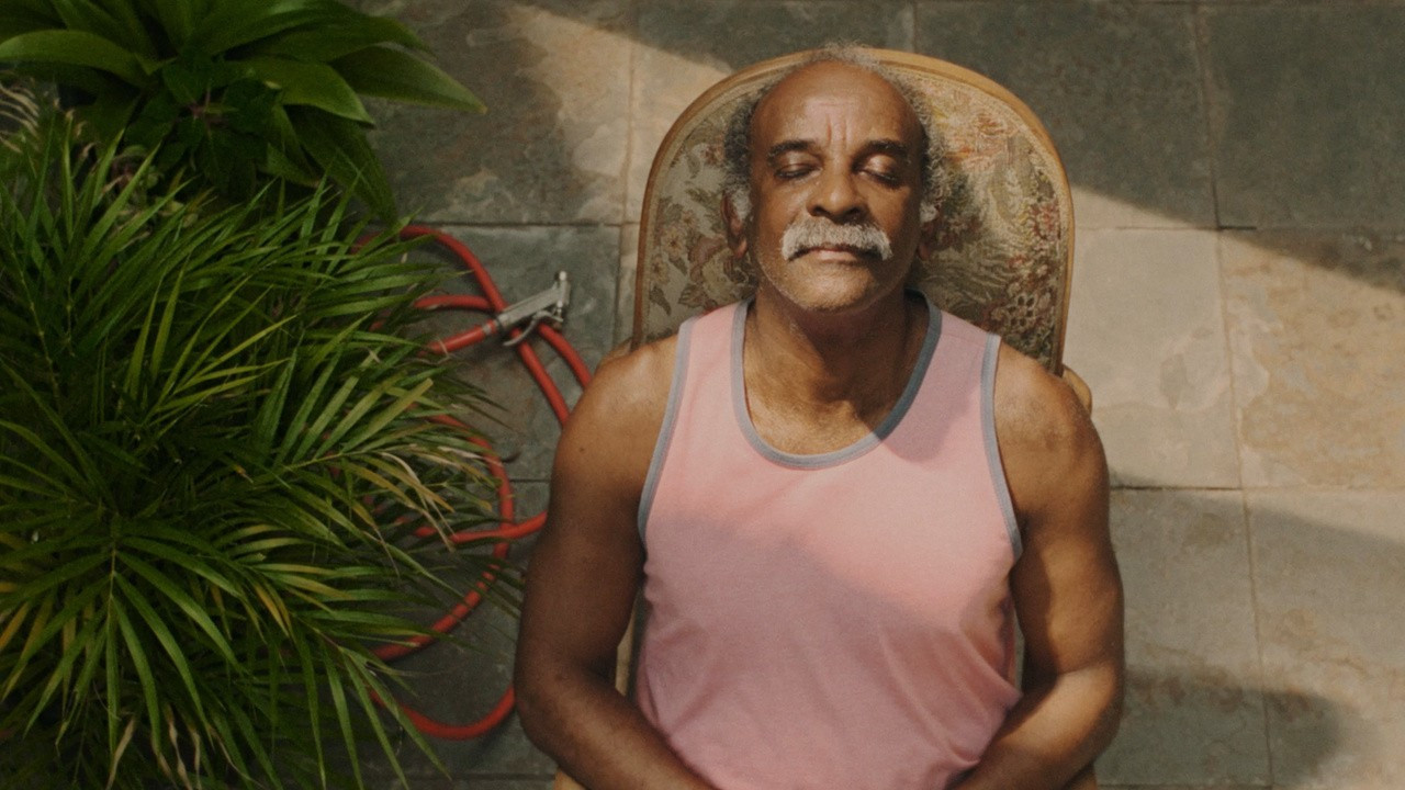 Backdrop for Girassóis