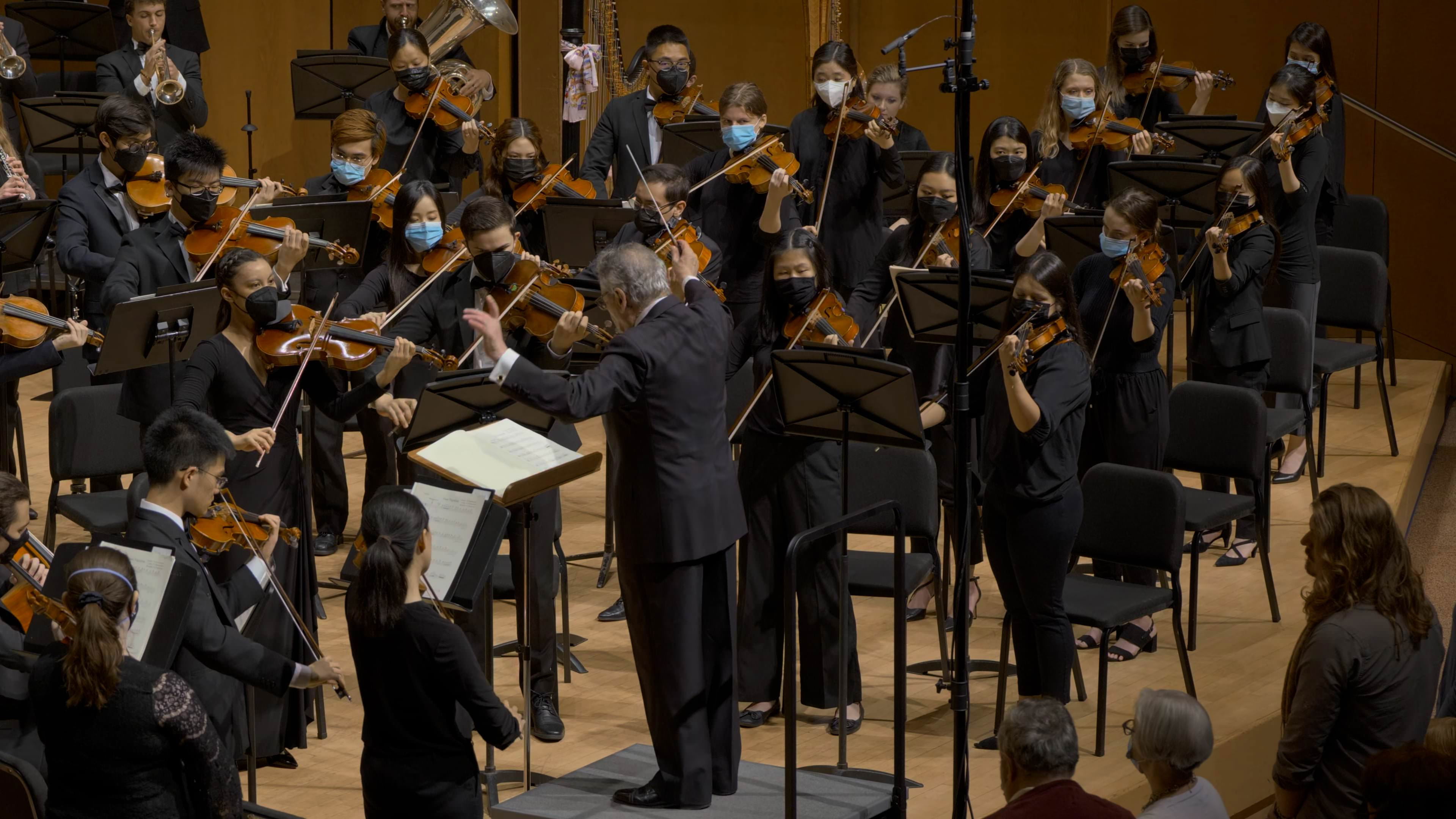 Backdrop for Mahler: Symphony No. 9