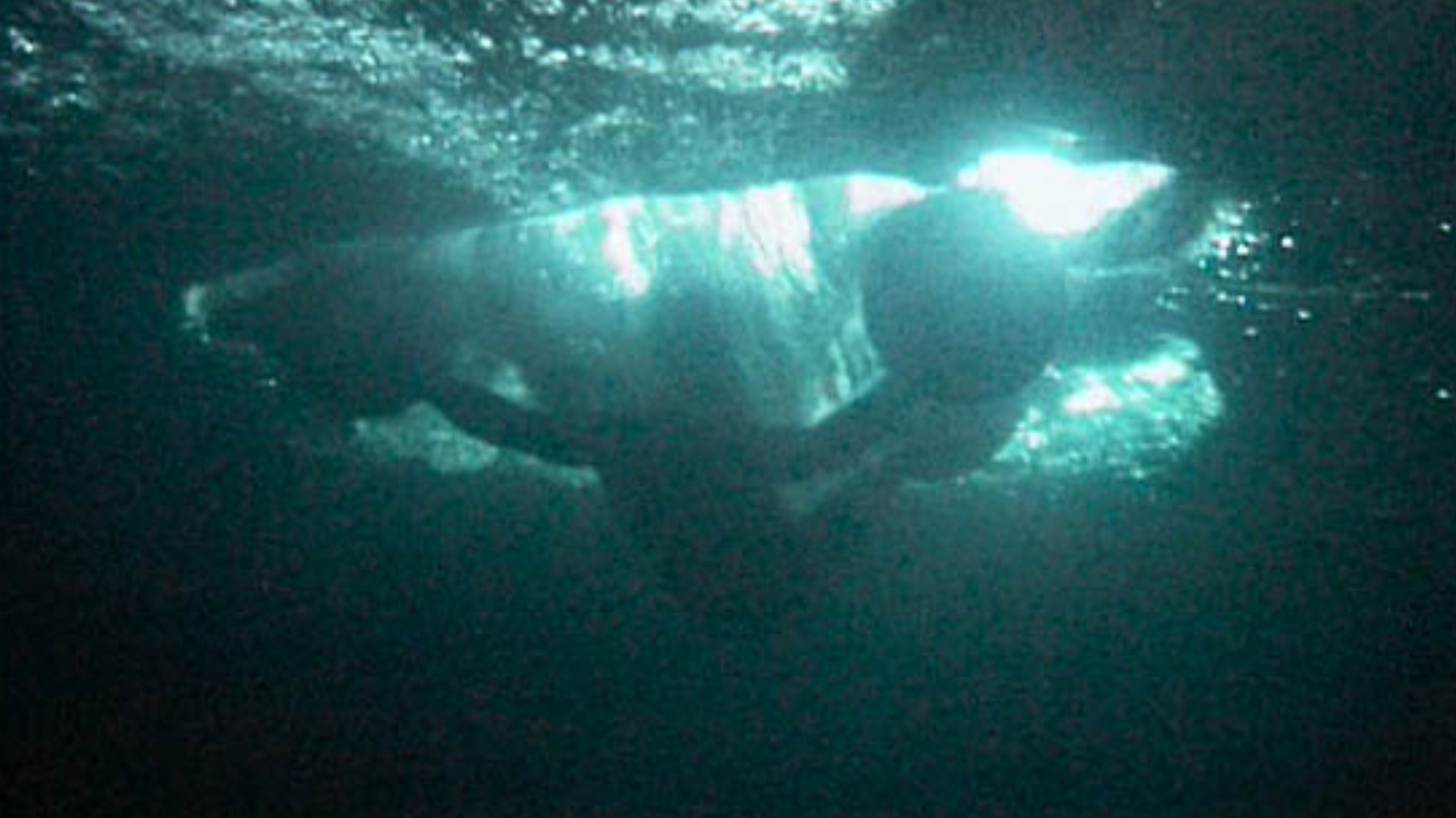 Backdrop for Man With Balls On Hands and Feet - Man on Water