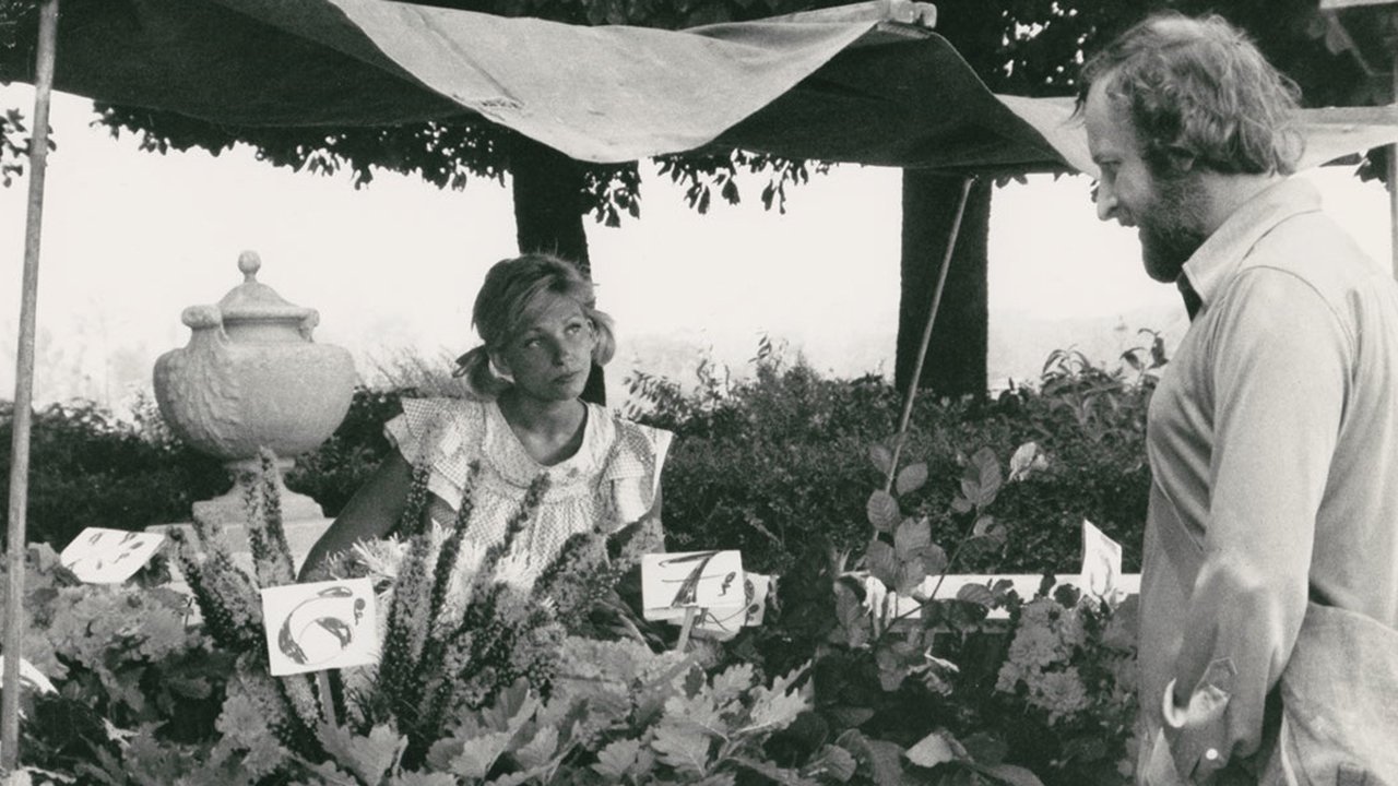 Backdrop for The Old Country Where Rimbaud Died