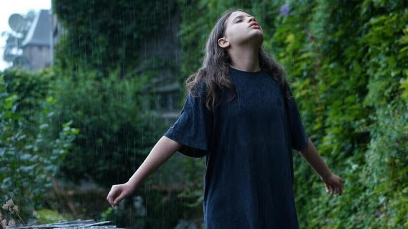 Backdrop for Sibel's Silence