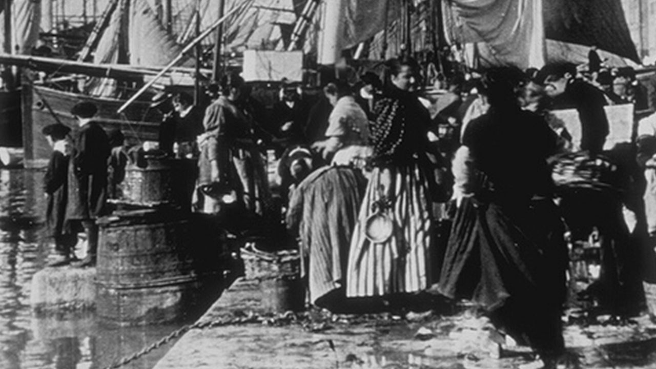 Backdrop for Fish Market