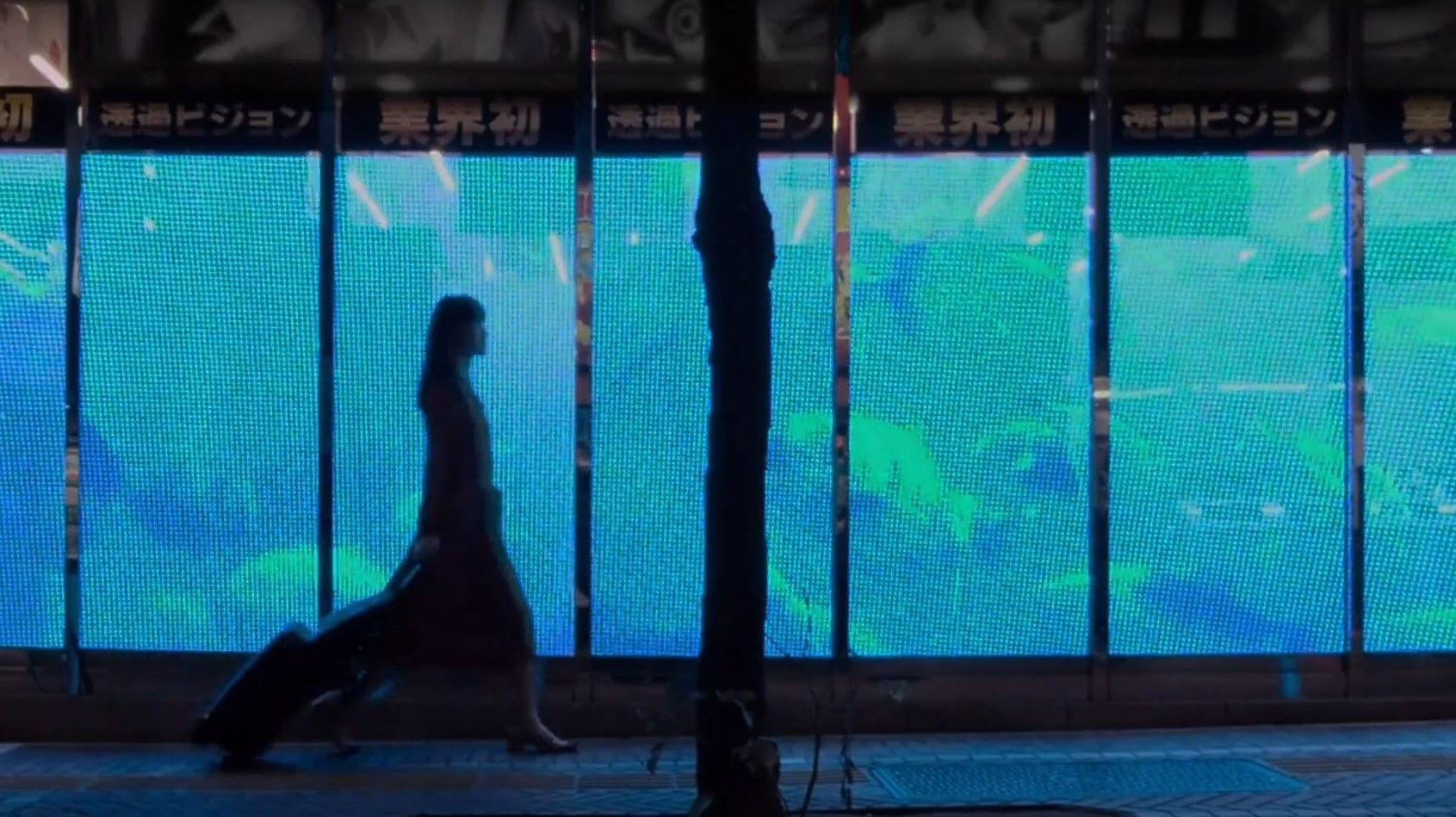 Backdrop for The Fish with One Sleeve