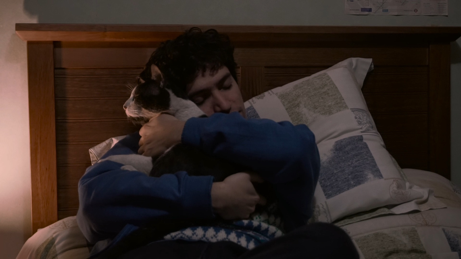 Backdrop for The Palm Trees (Documentary Niños del Cerro)