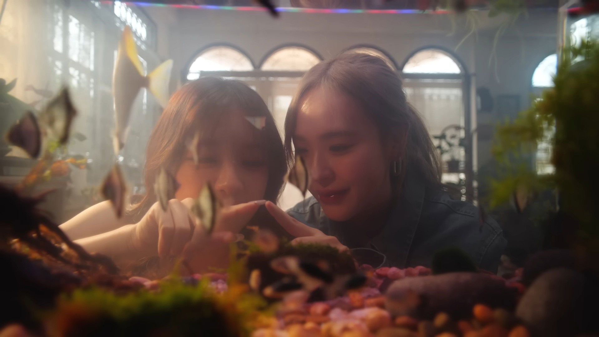 Backdrop for Love's Echoes