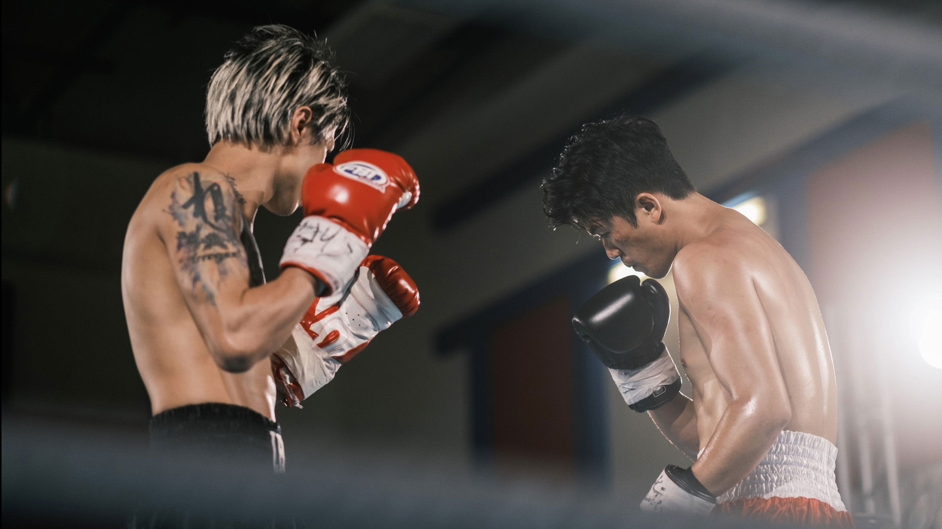 Backdrop for Contender