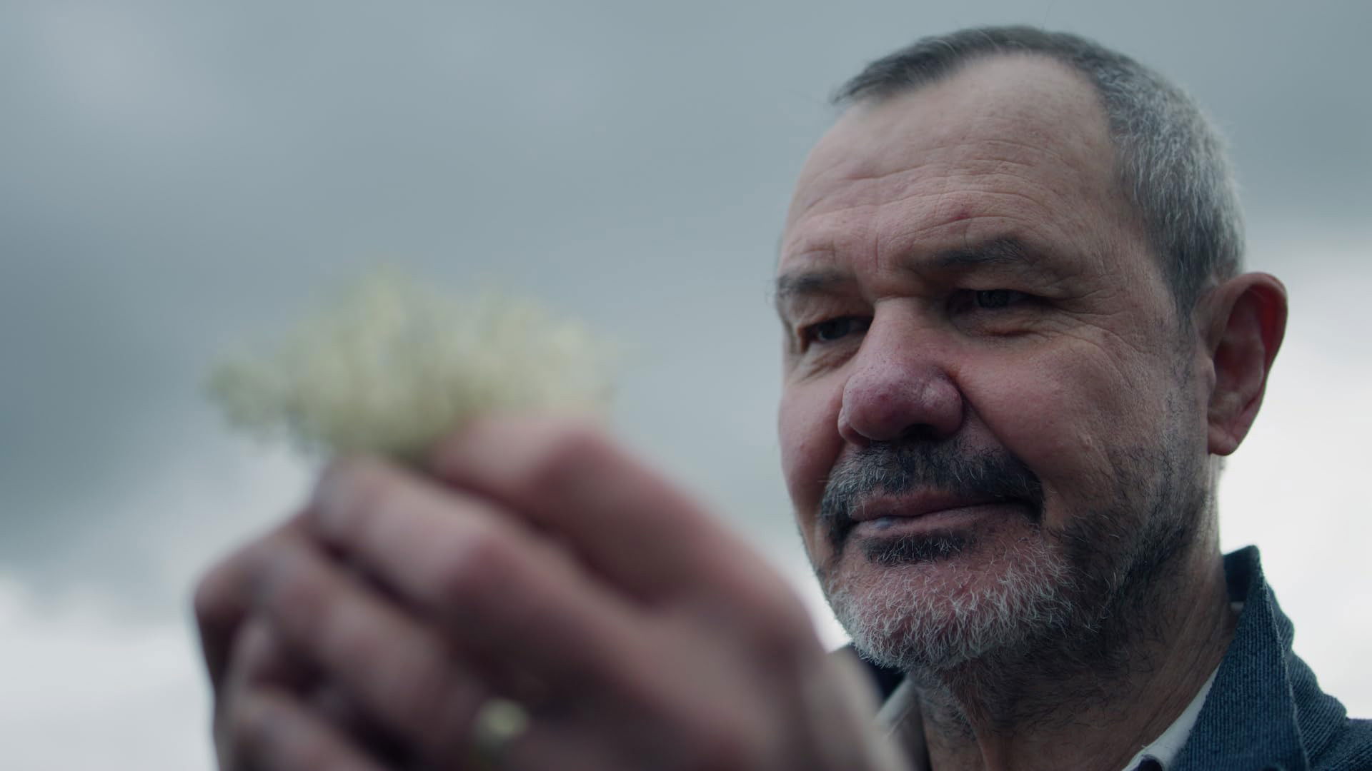 Backdrop for Untameable