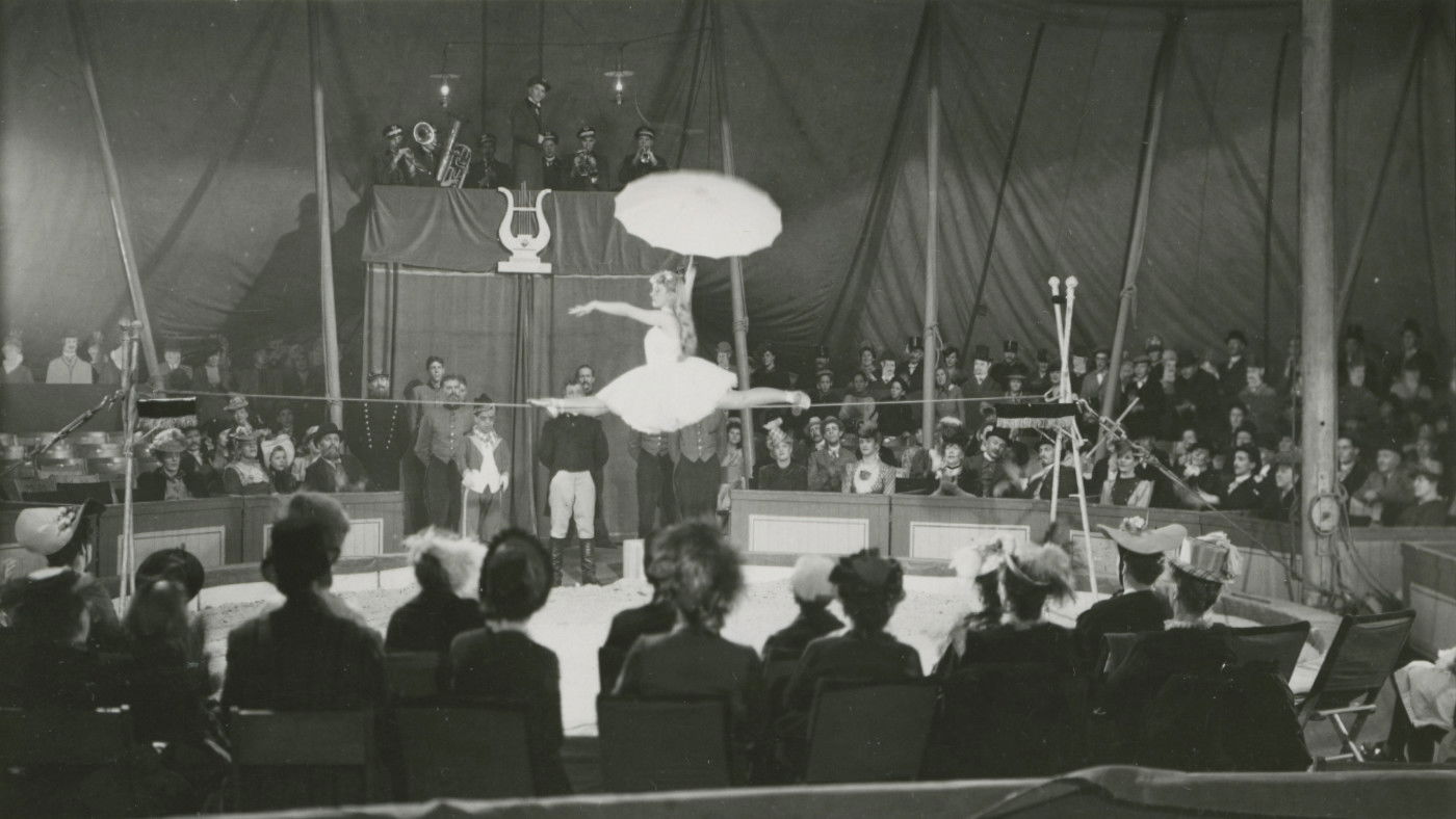 Backdrop for Elvira Madigan