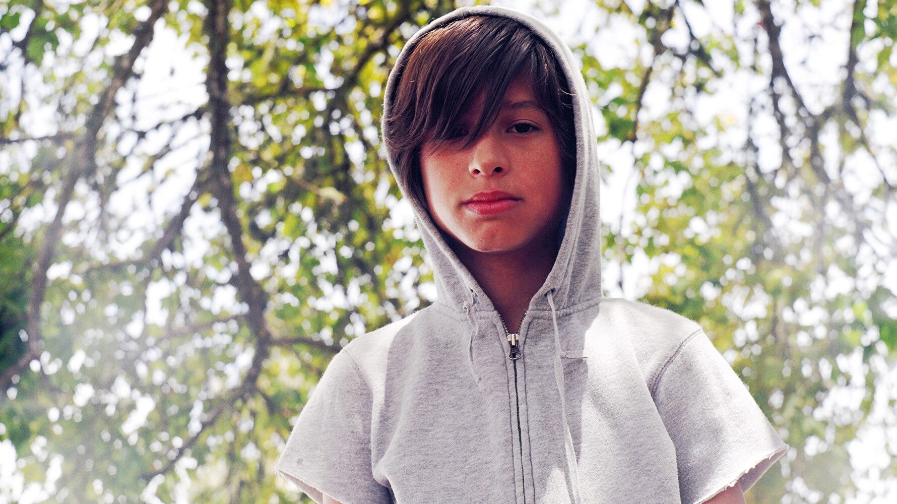 Backdrop for Wild Tigers I Have Known