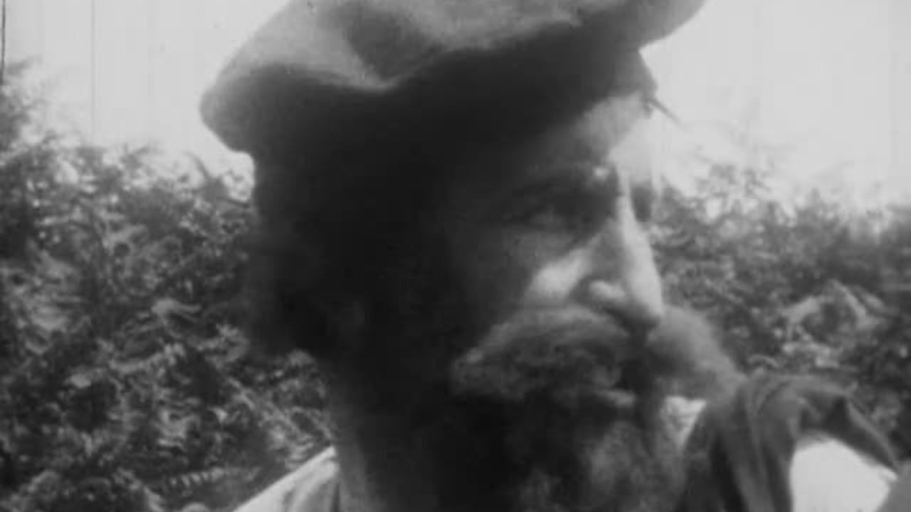 Backdrop for Fickle Fortune