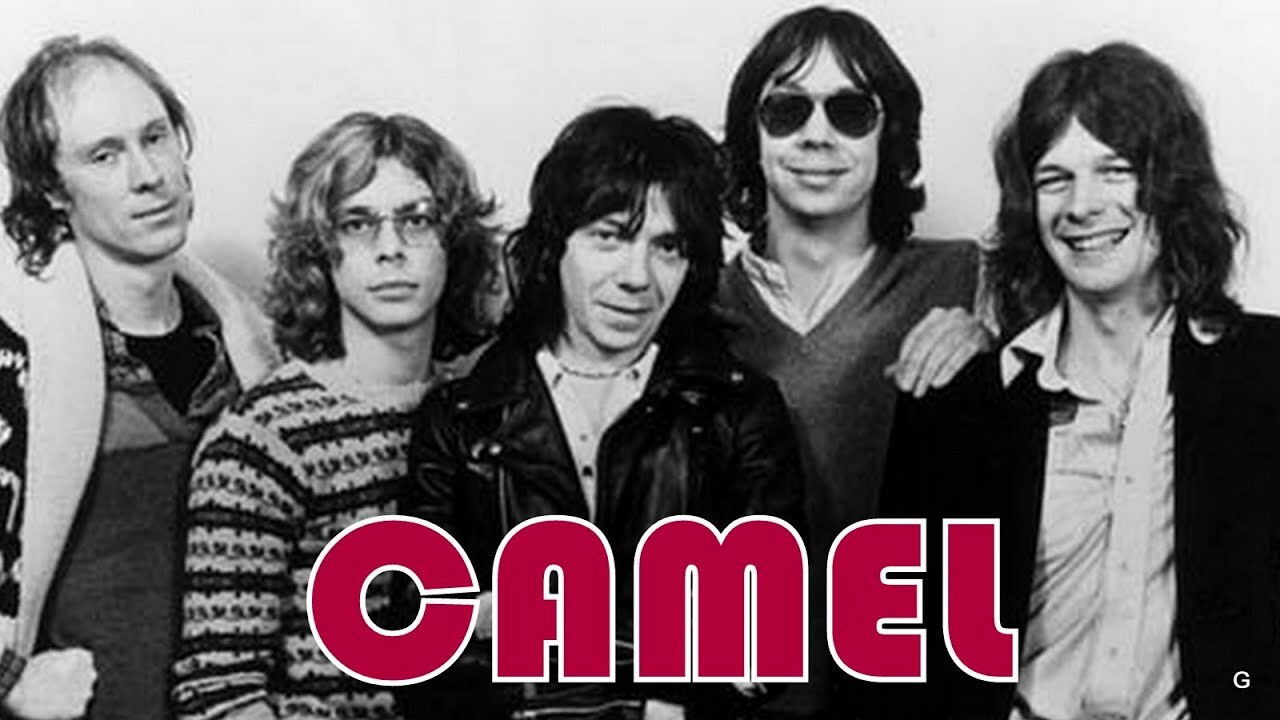 Backdrop for Camel - Moondances