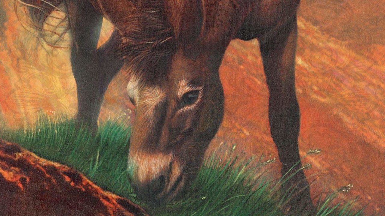 Backdrop for Brighty of the Grand Canyon