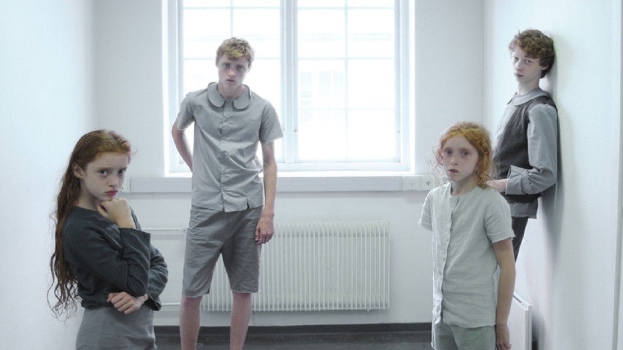 Backdrop for Still Birds