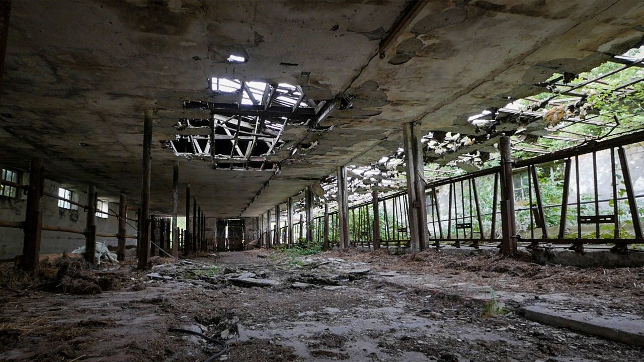 Backdrop for The End of Meat