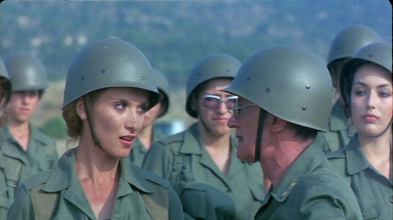 Backdrop for The Fantarines