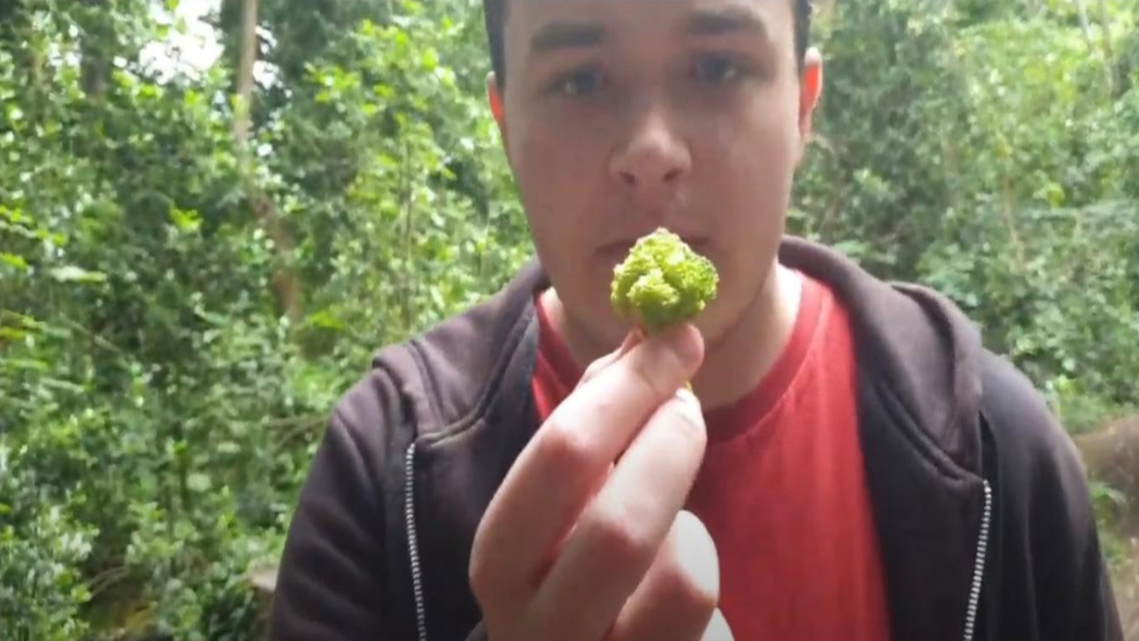 Backdrop for Teaman vs The Vegan King Chapter 1 (The Loli)