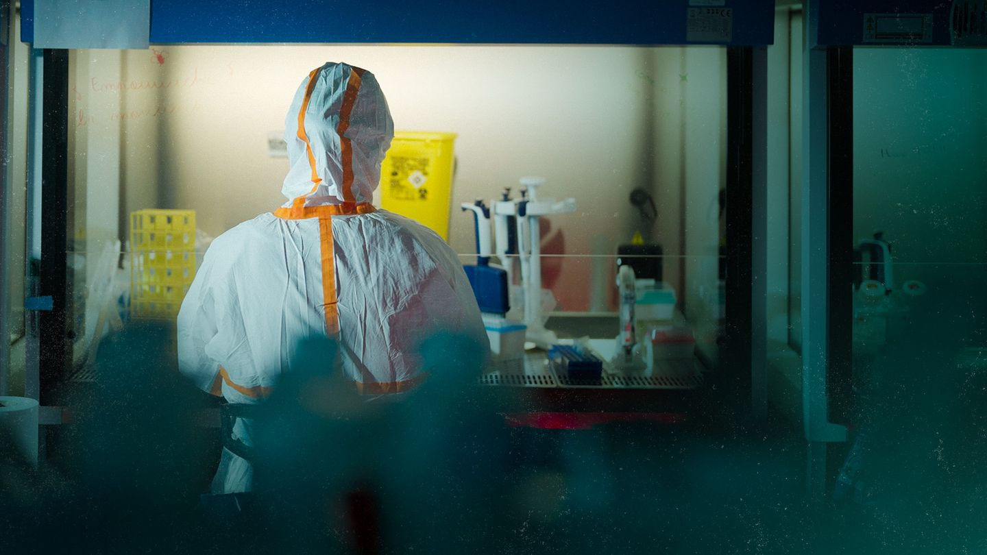 Backdrop for Covid, le secret des origines