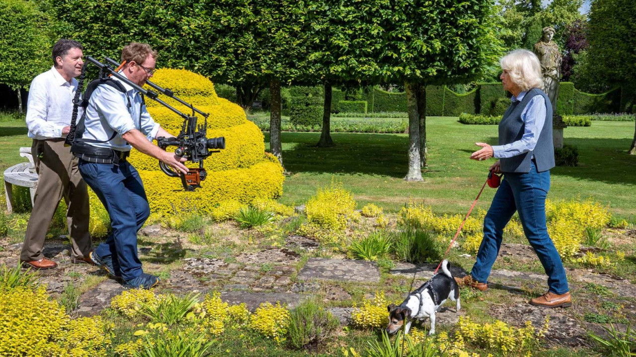 Backdrop for Camilla's Country Life